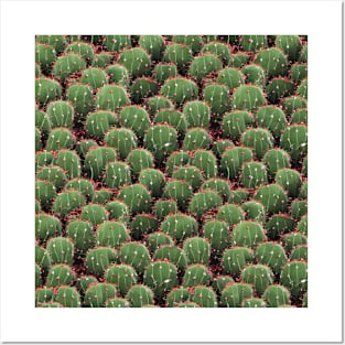 Cactus Design Posters and Art